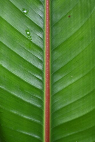 DSC 0471