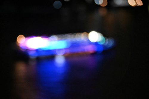 DSC 83382