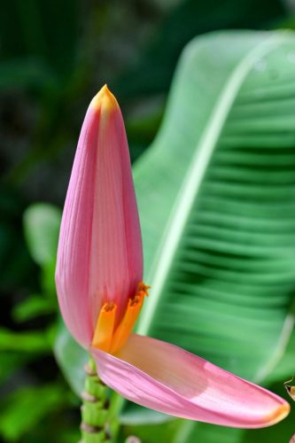 DSC 84612